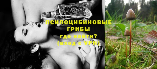 хмурый Балабаново