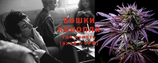 хмурый Балабаново