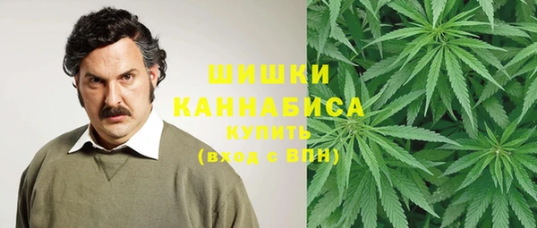 spice Аркадак