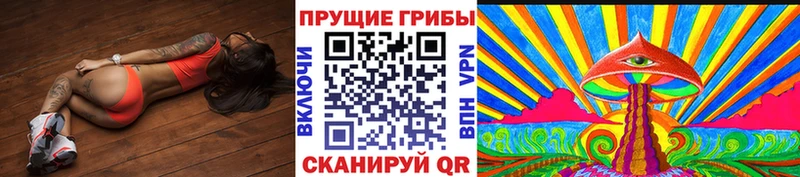 Галлюциногенные грибы Magic Shrooms  Купить  Вятские Поляны 